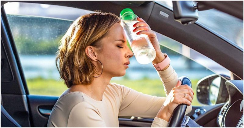 Avtomobilin salonunu istidən necə qoruyaq?